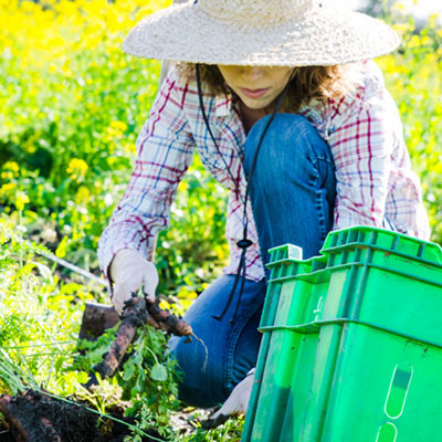 Lynda in the Sonoma community